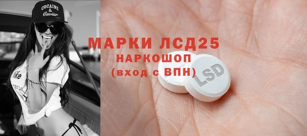 Альфа ПВП Аркадак