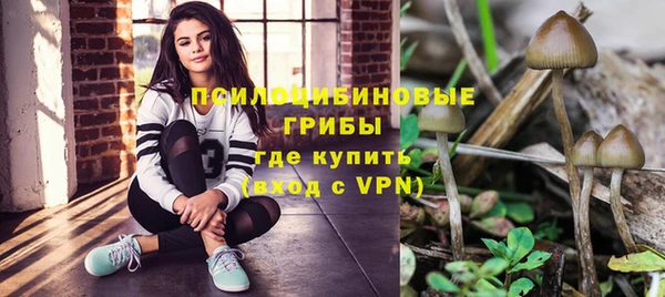 Альфа ПВП Аркадак