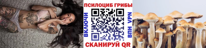 Псилоцибиновые грибы Psilocybine cubensis  Темрюк 