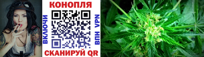 Шишки марихуана MAZAR  как найти закладки  Темрюк 